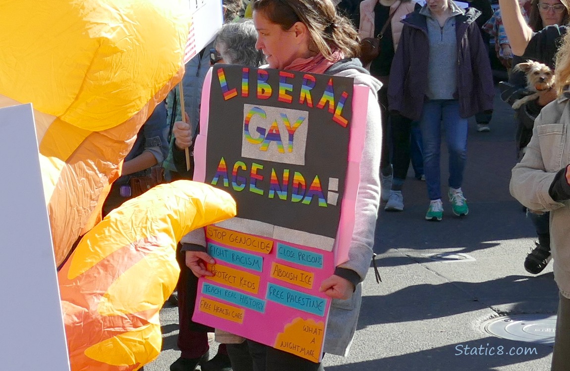 The Gay Agenda