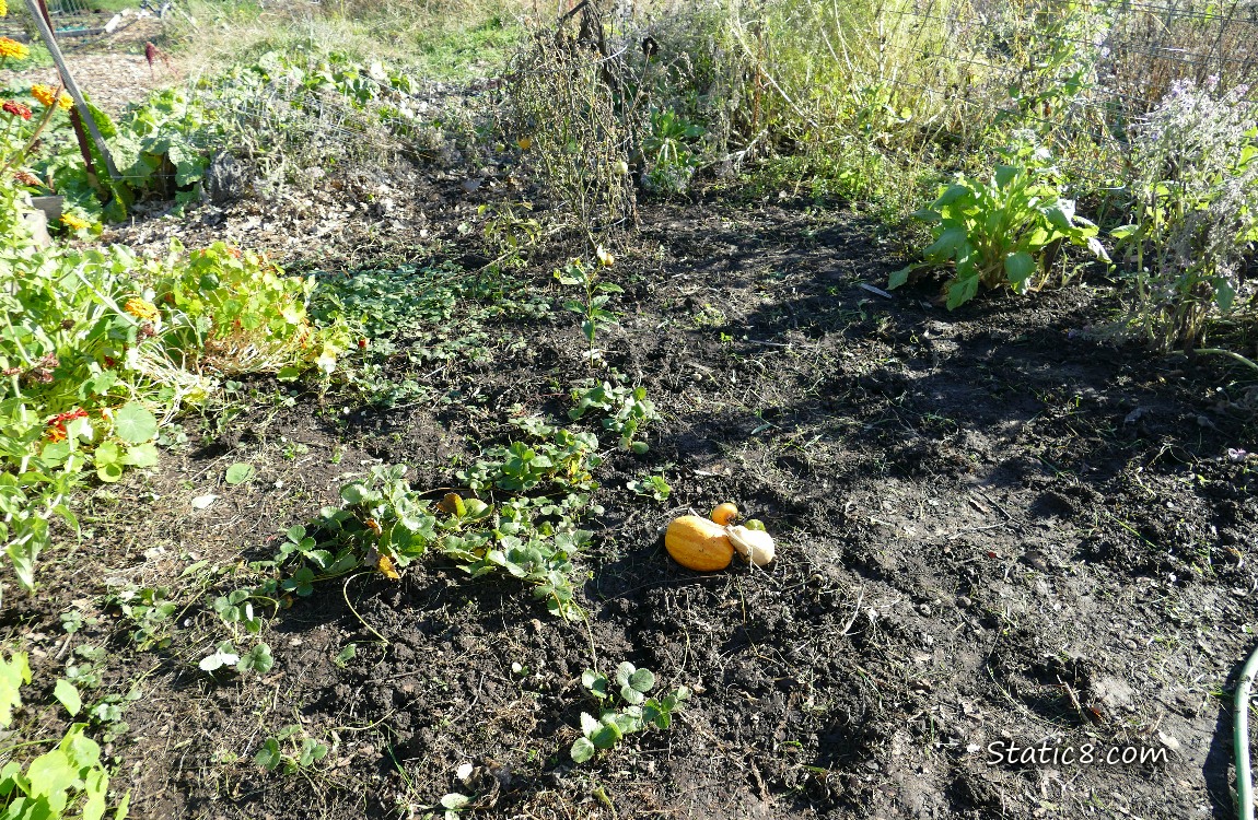 Garden plot