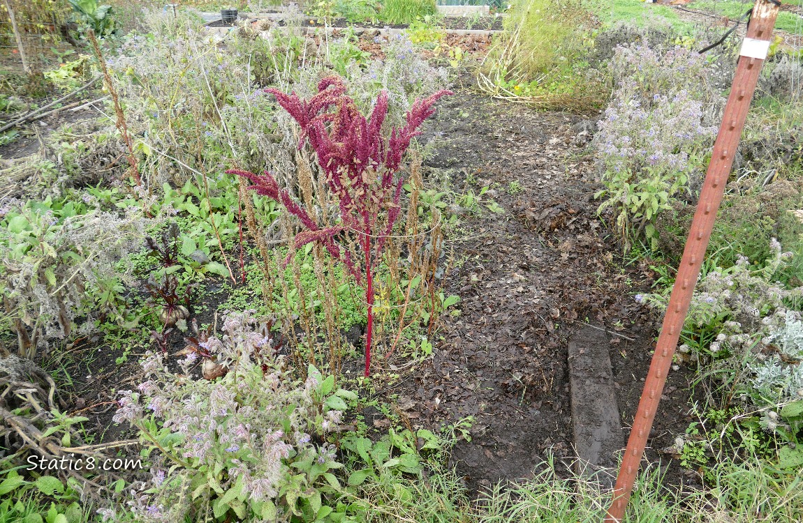 Garden plot