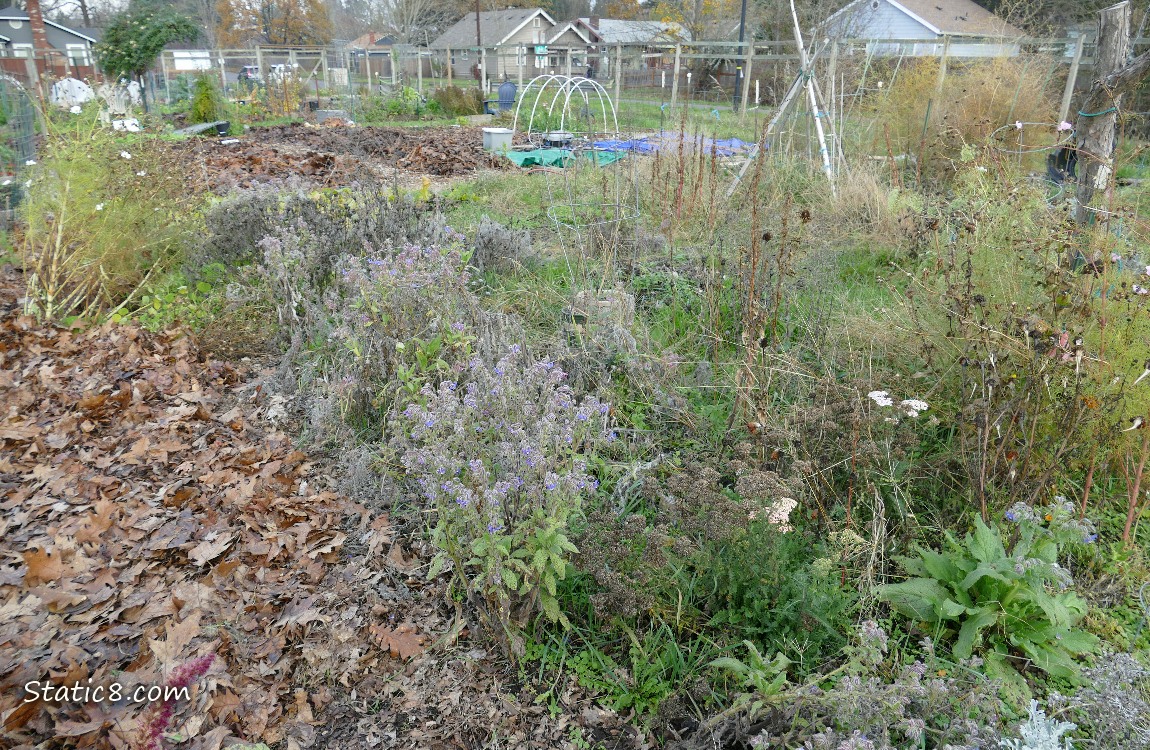 Garden plot