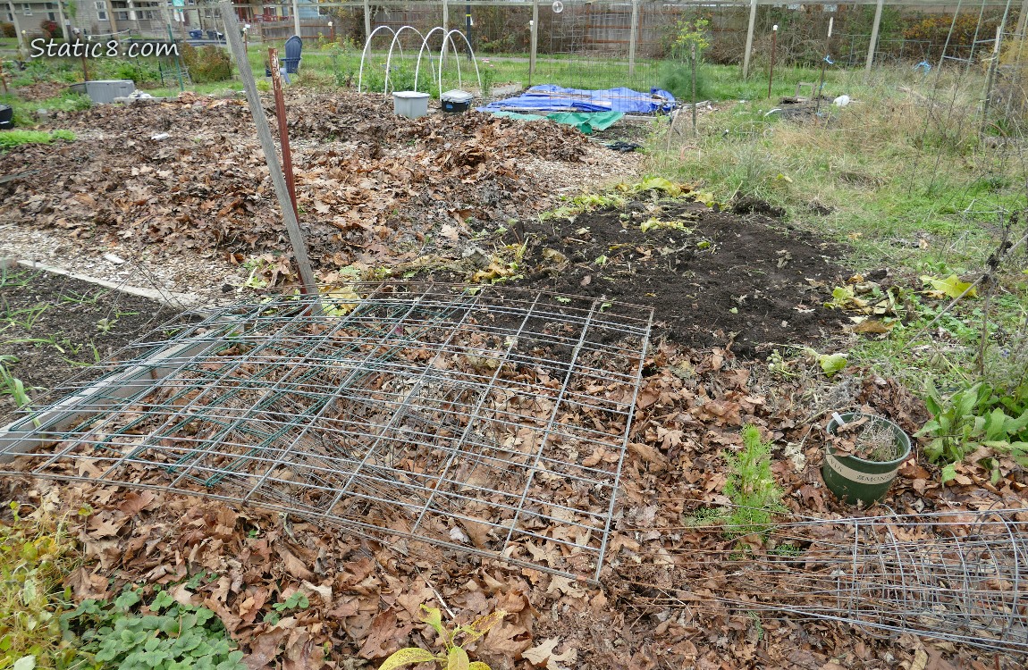 Garden plot