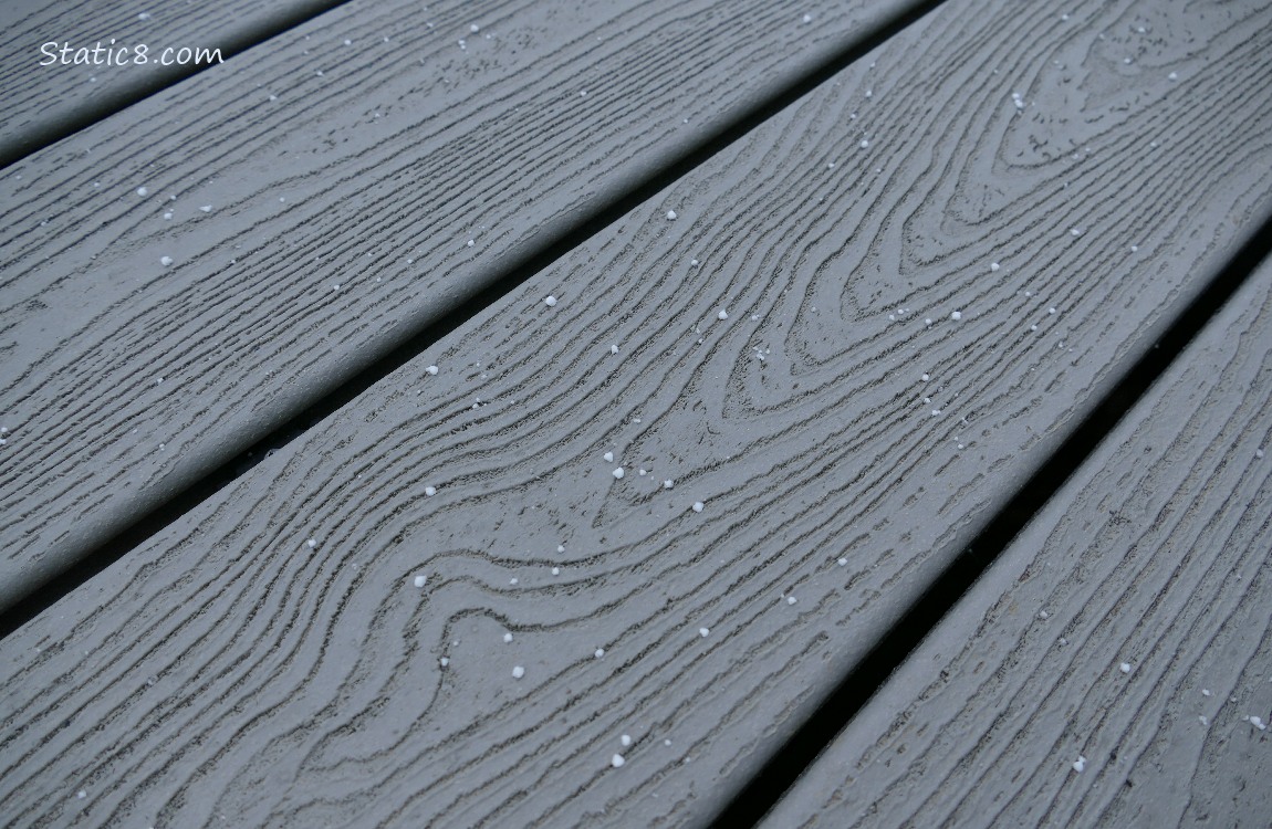 dots of snow