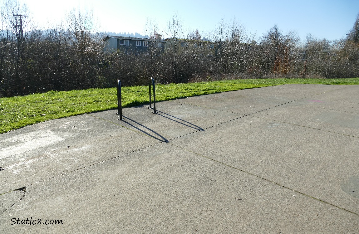 no bench