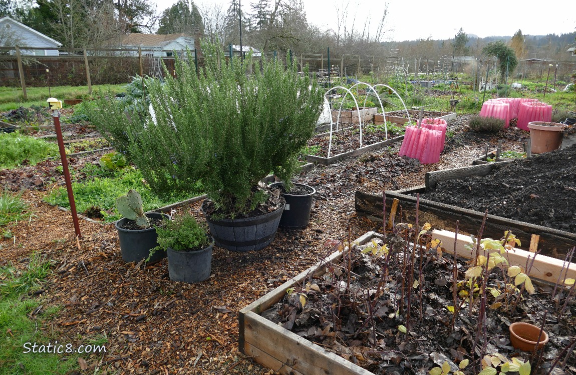 Garden plot