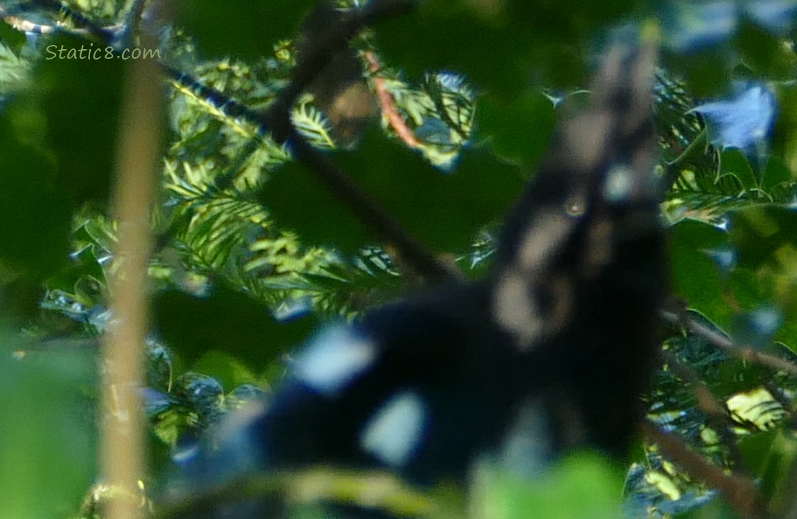 Blurry photo