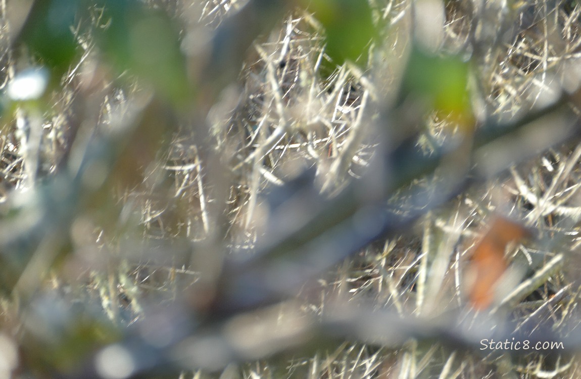 Blur of sticks