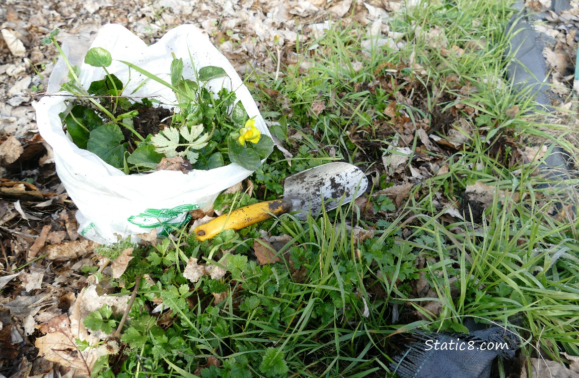 Bagged weeds