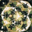 kaleidoscope image shamrock