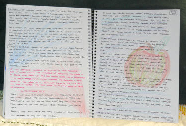 journal pages