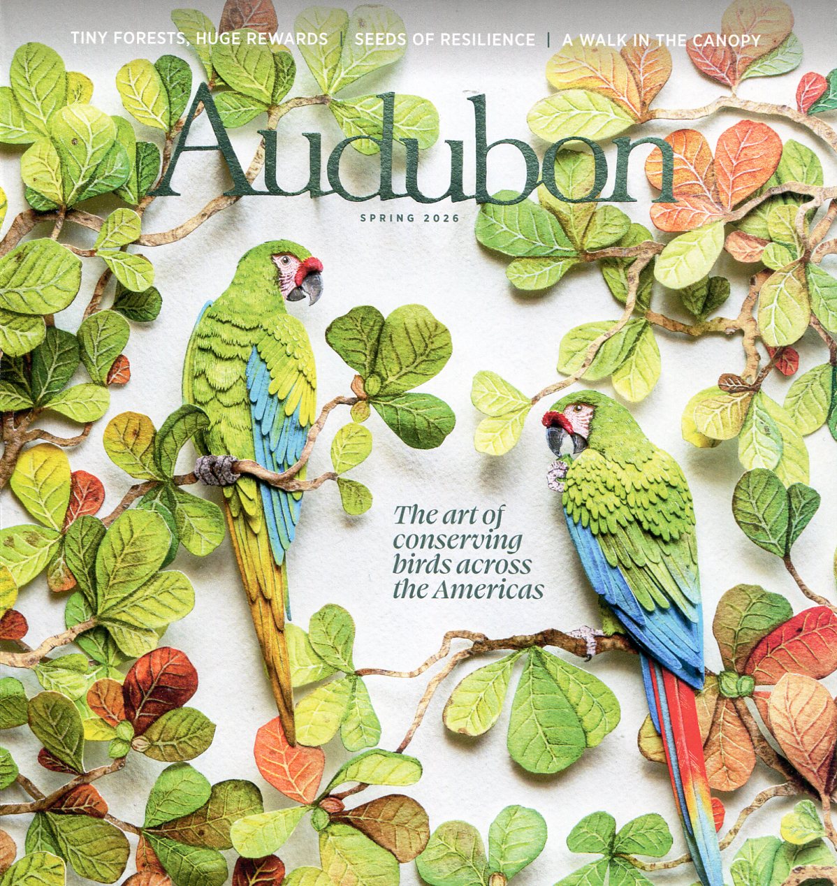 Audubon Magazine cover for Spring 2026 edition