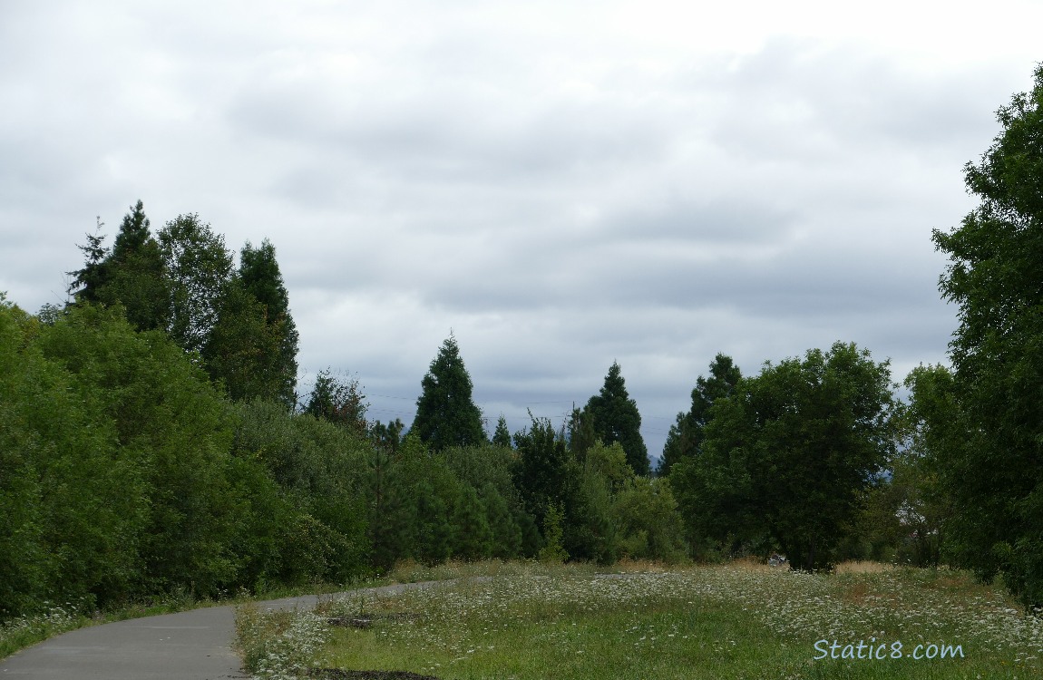 heavy clouds and overcast, over the bike path