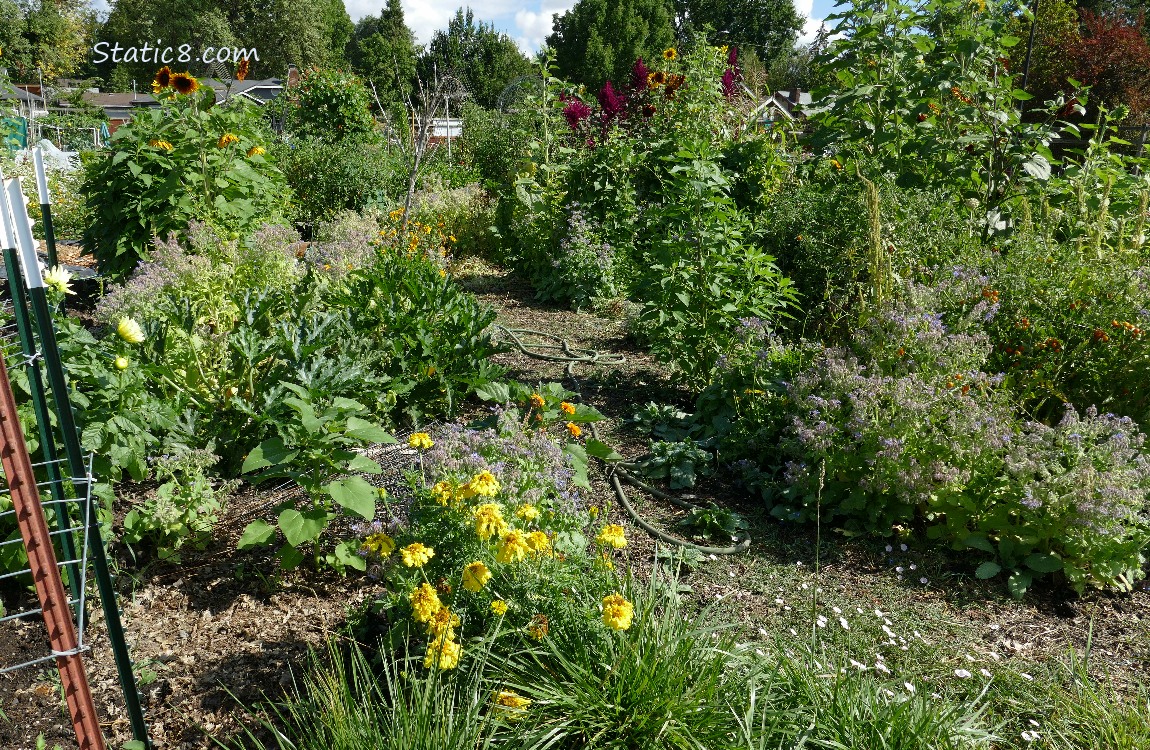 Garden plot