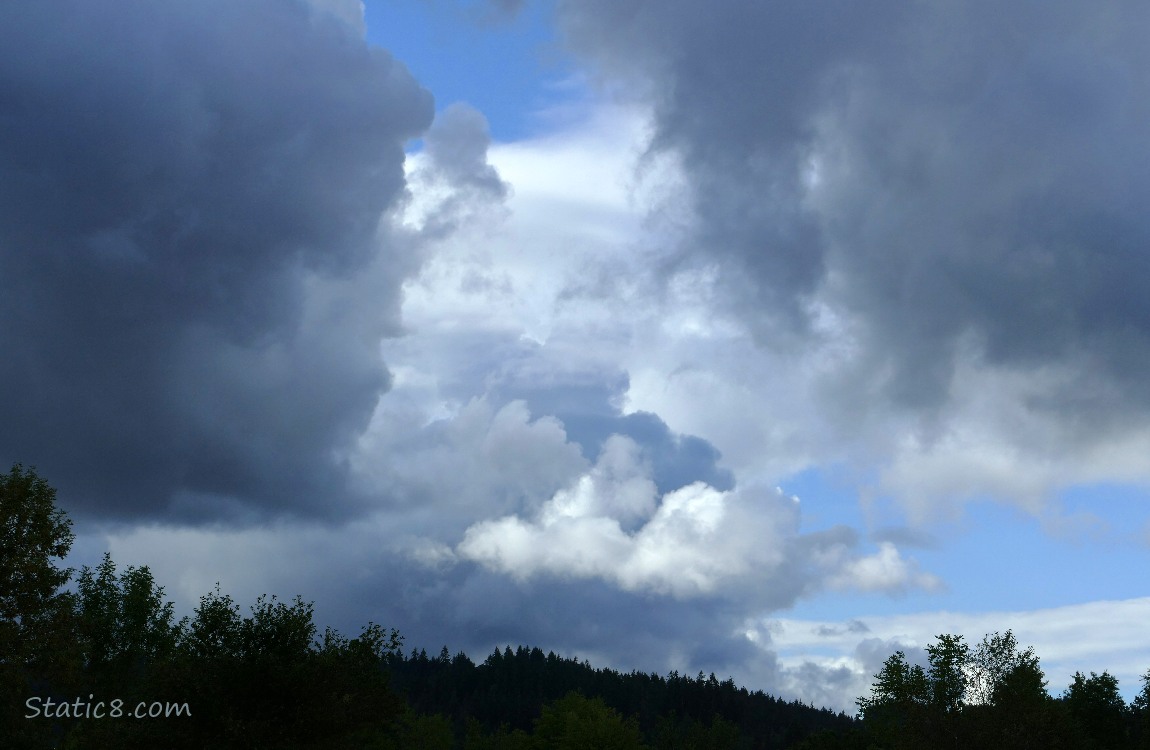 Clouds over the trees on the hill