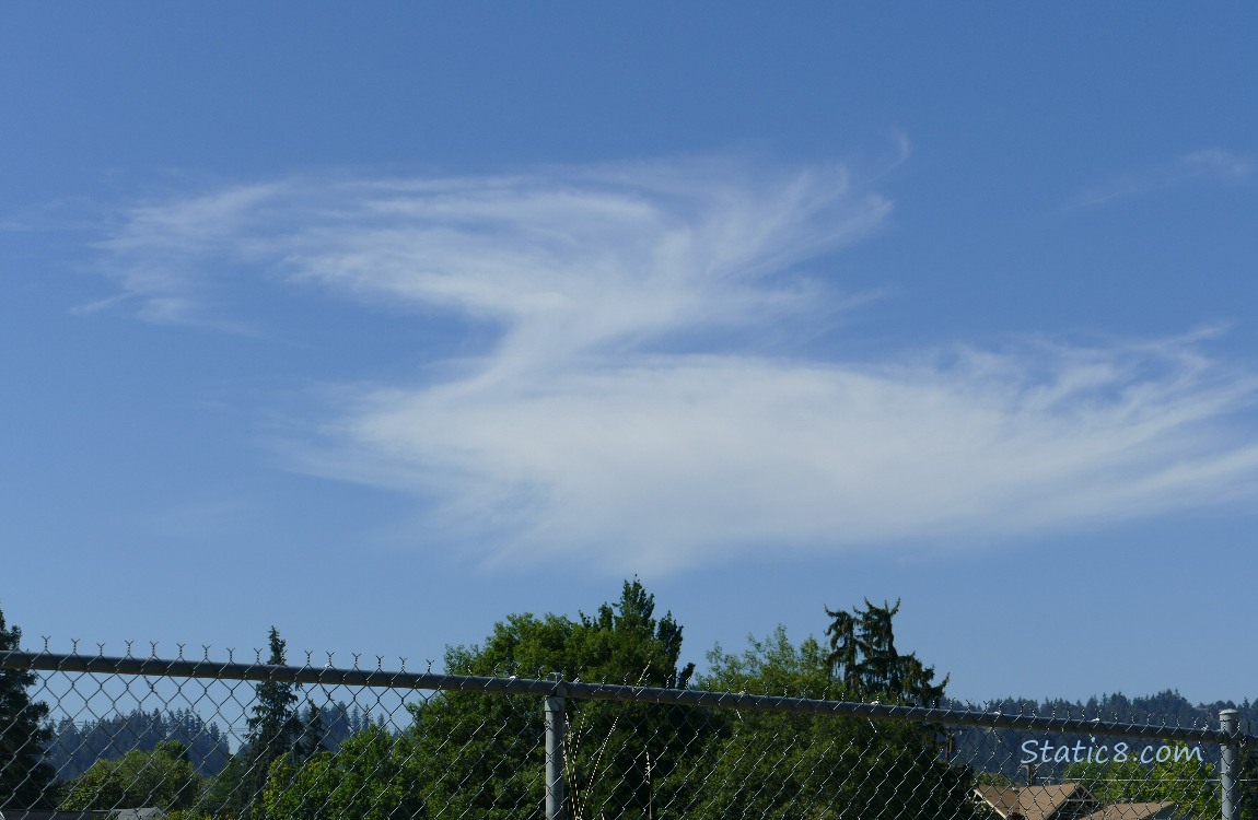 Cirrus clouds