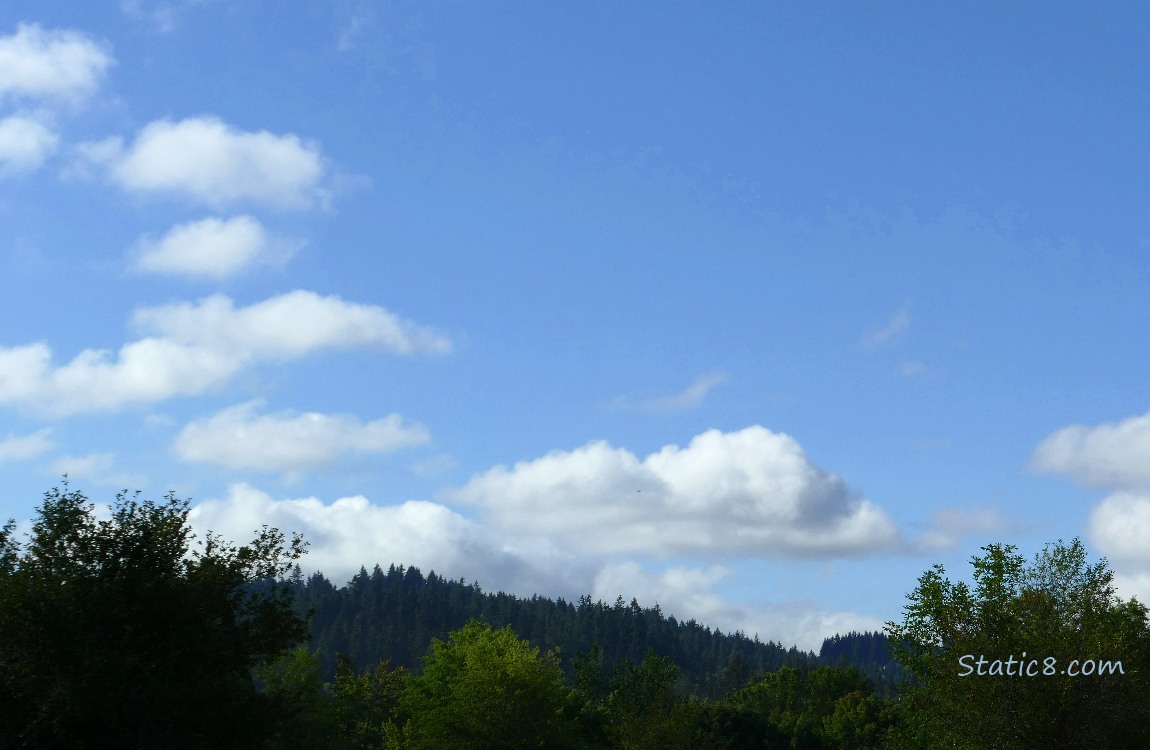 Clouds in a blue sky