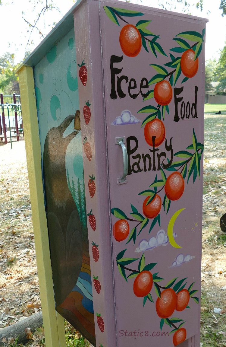 Little Free Pantry in a park