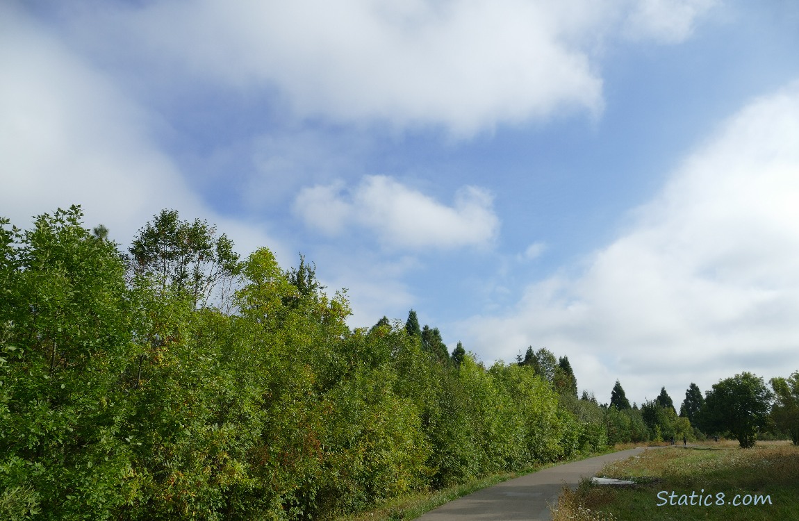 Puffy clouds and blue sky over the bike path