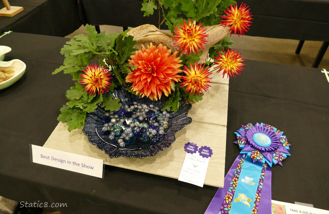 Orange Dahlia blooms with Oak leaves and blue marbles in a basin