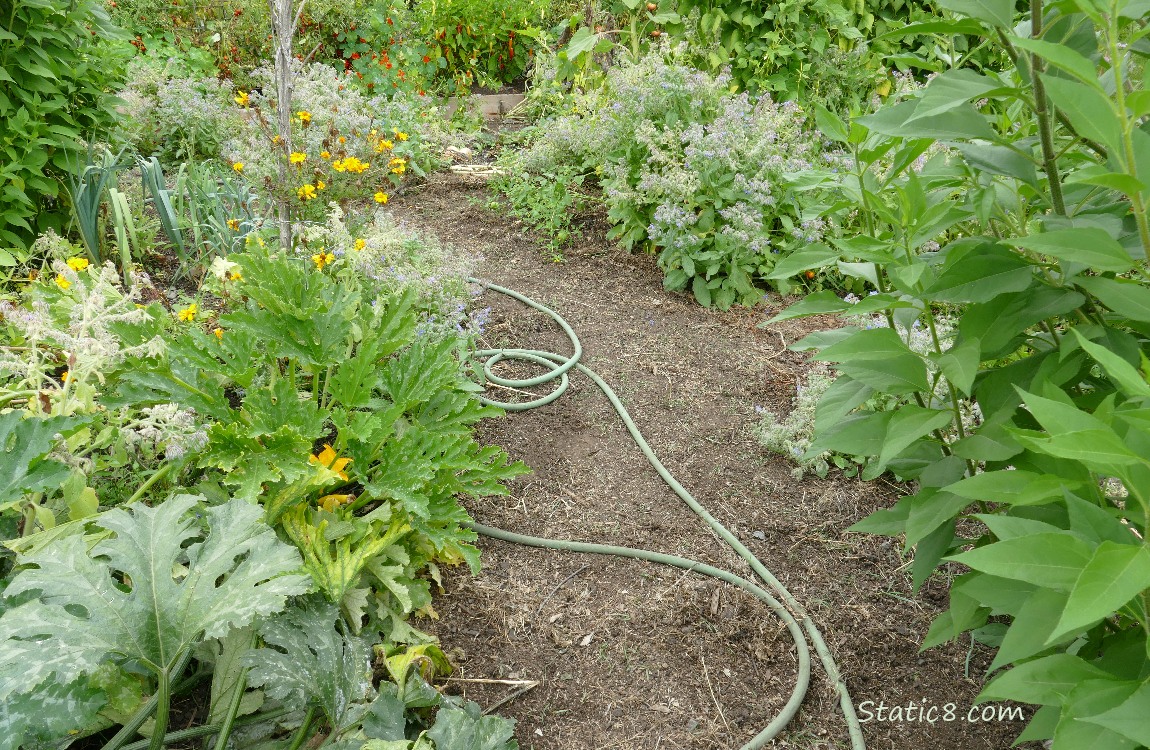 Garden plot