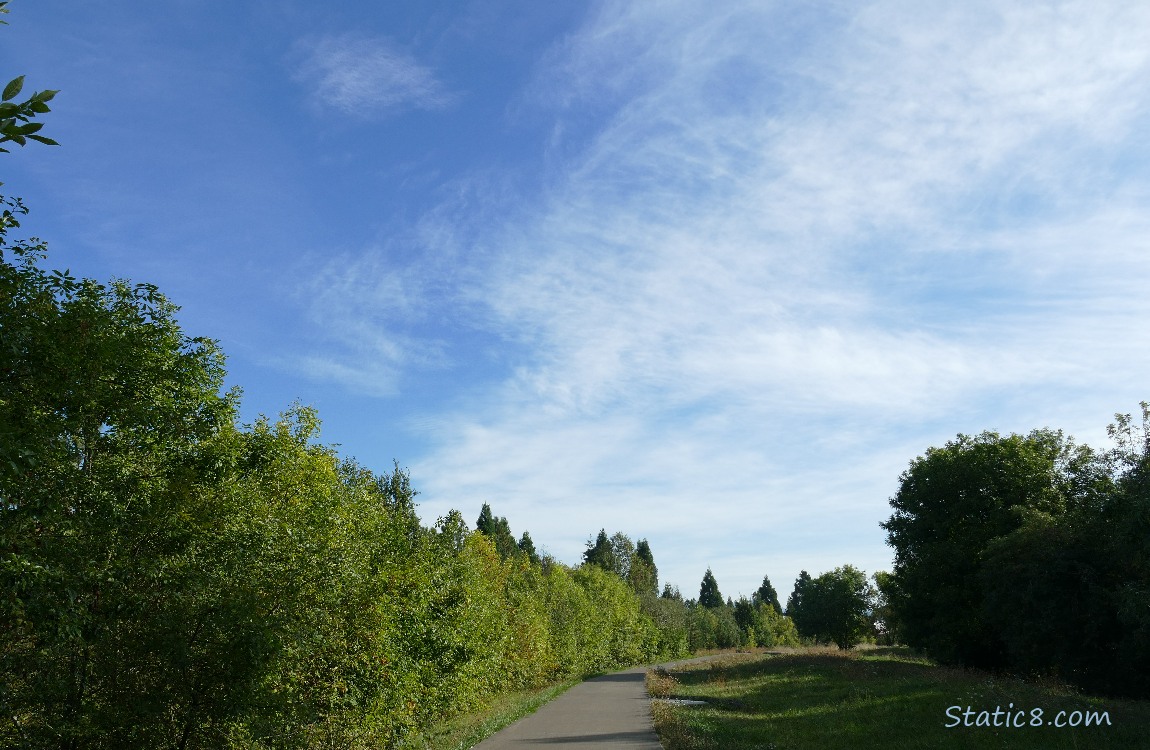 Cirrus clouds in a blue sky