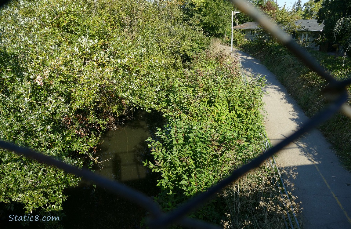 looking down at the bike path from a bridge