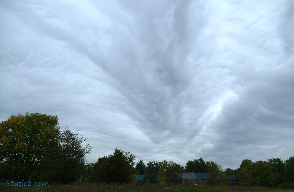 Clouds over the trees