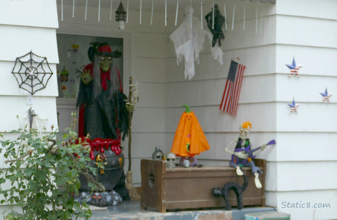 Halloween decorations