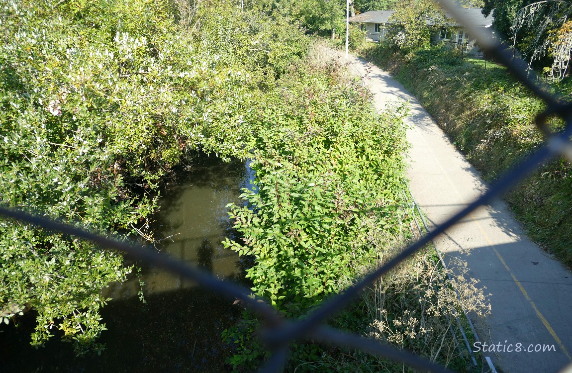 Looking down at the creek and bike path from a bridge