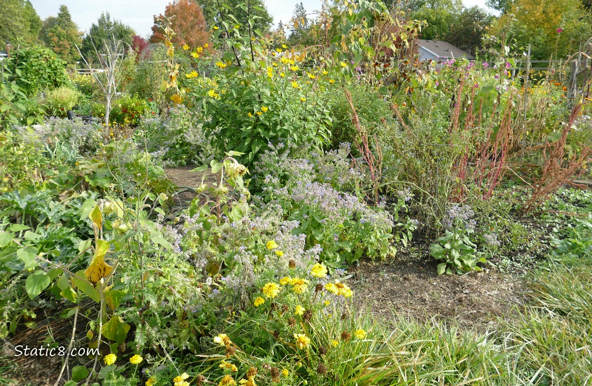 Garden plot