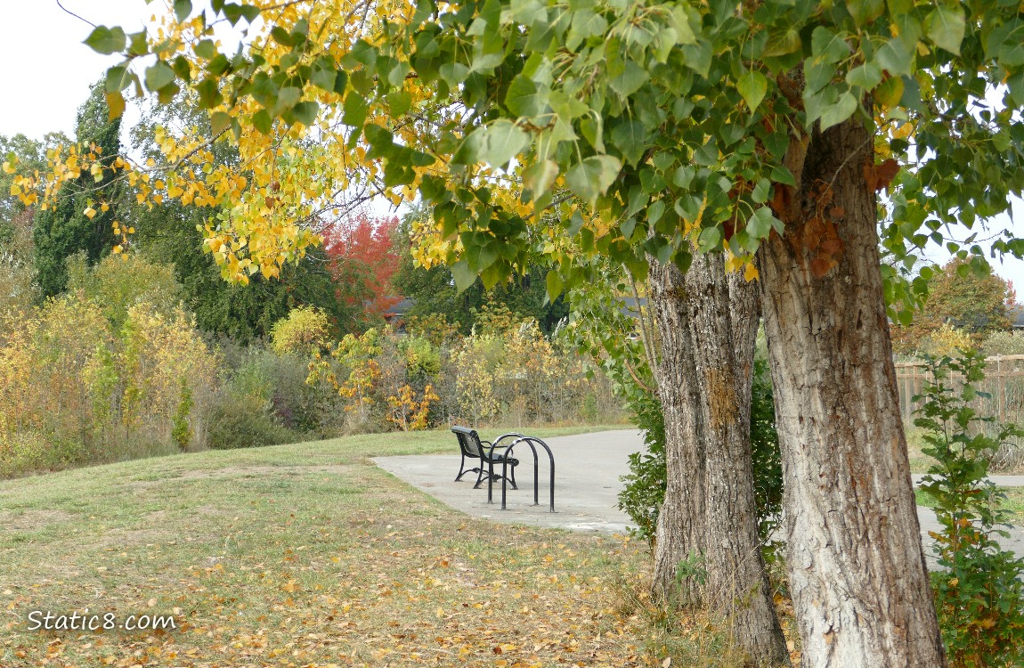 Bench along the bike path