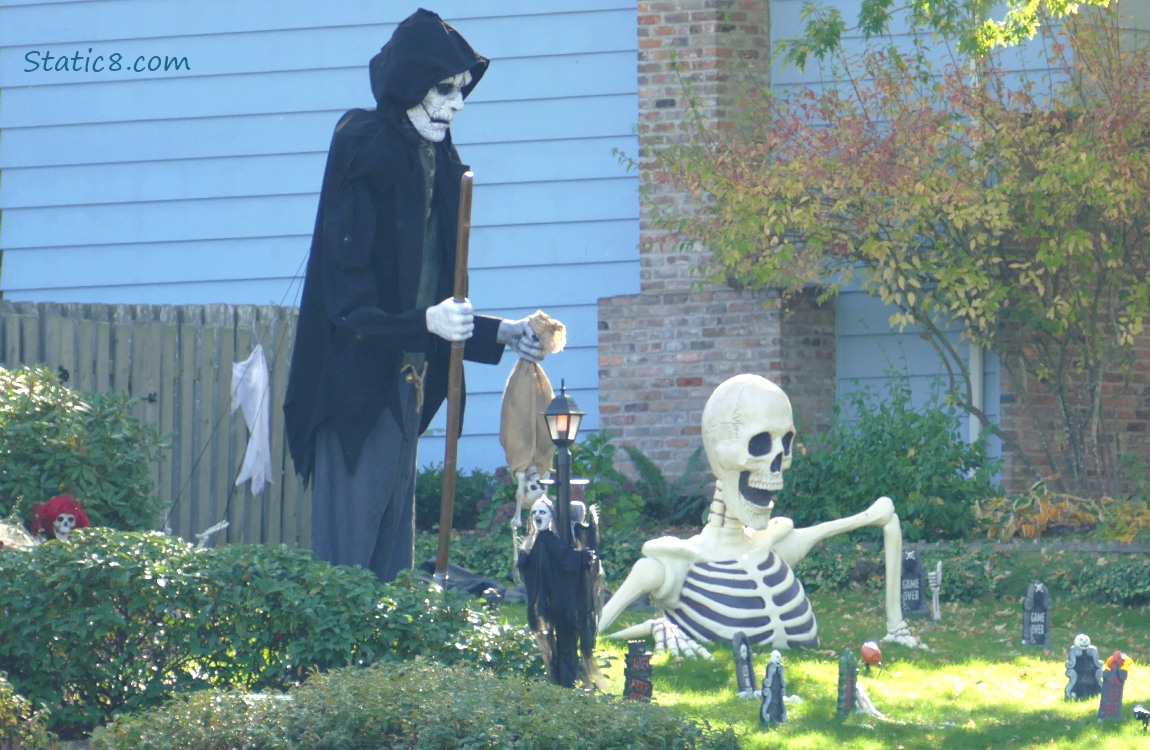 Halloween decorations with a skeleton