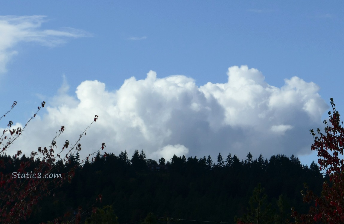 White puffy clouds in a blue sky