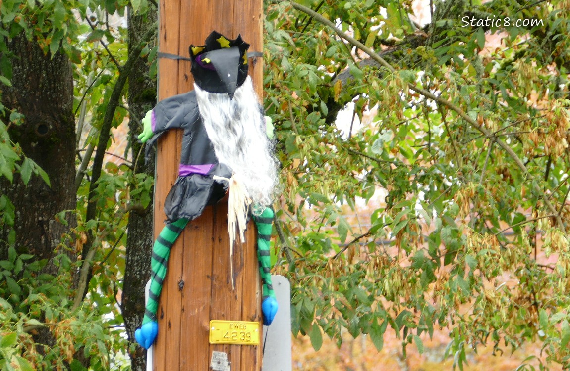 Halloween decoration on a pole