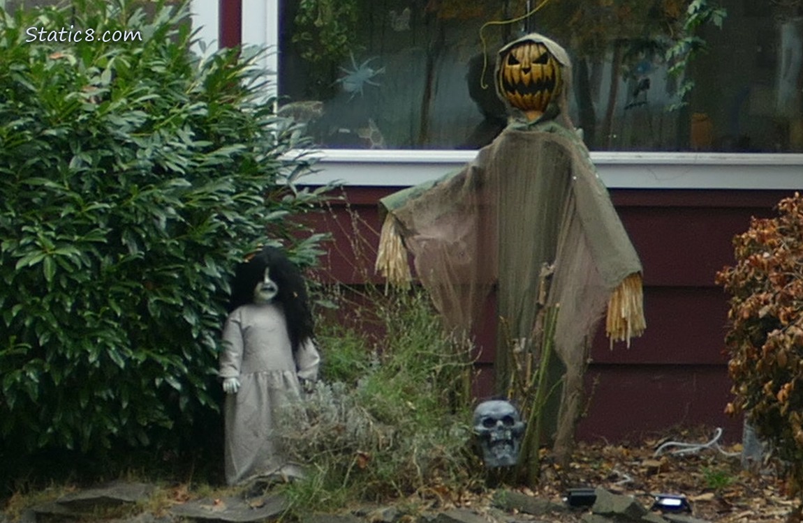 Halloween decorations in front of a house