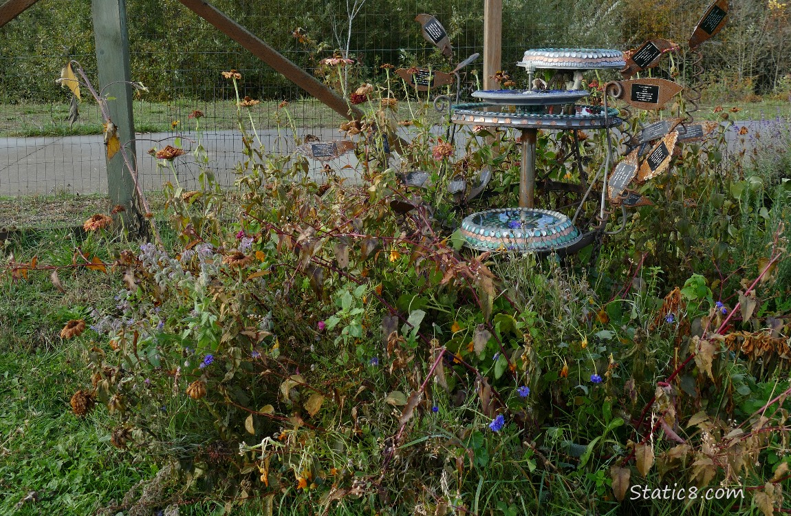 dead flowers around a bird bath art installation