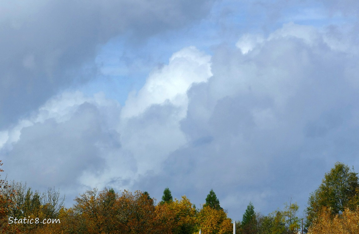 Cumulus clouds over autumn trees