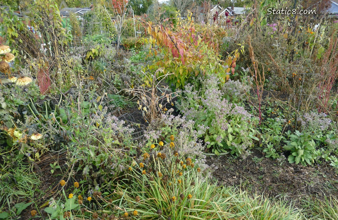 Garden plot