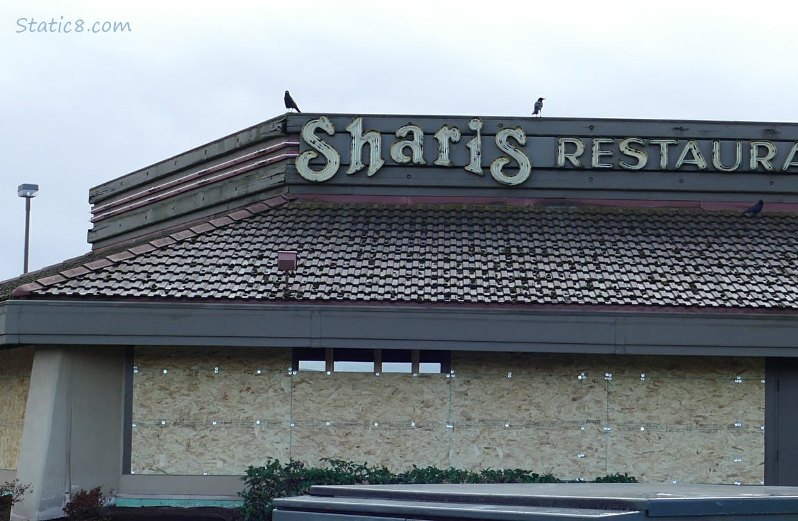 Sharis Restaurant 