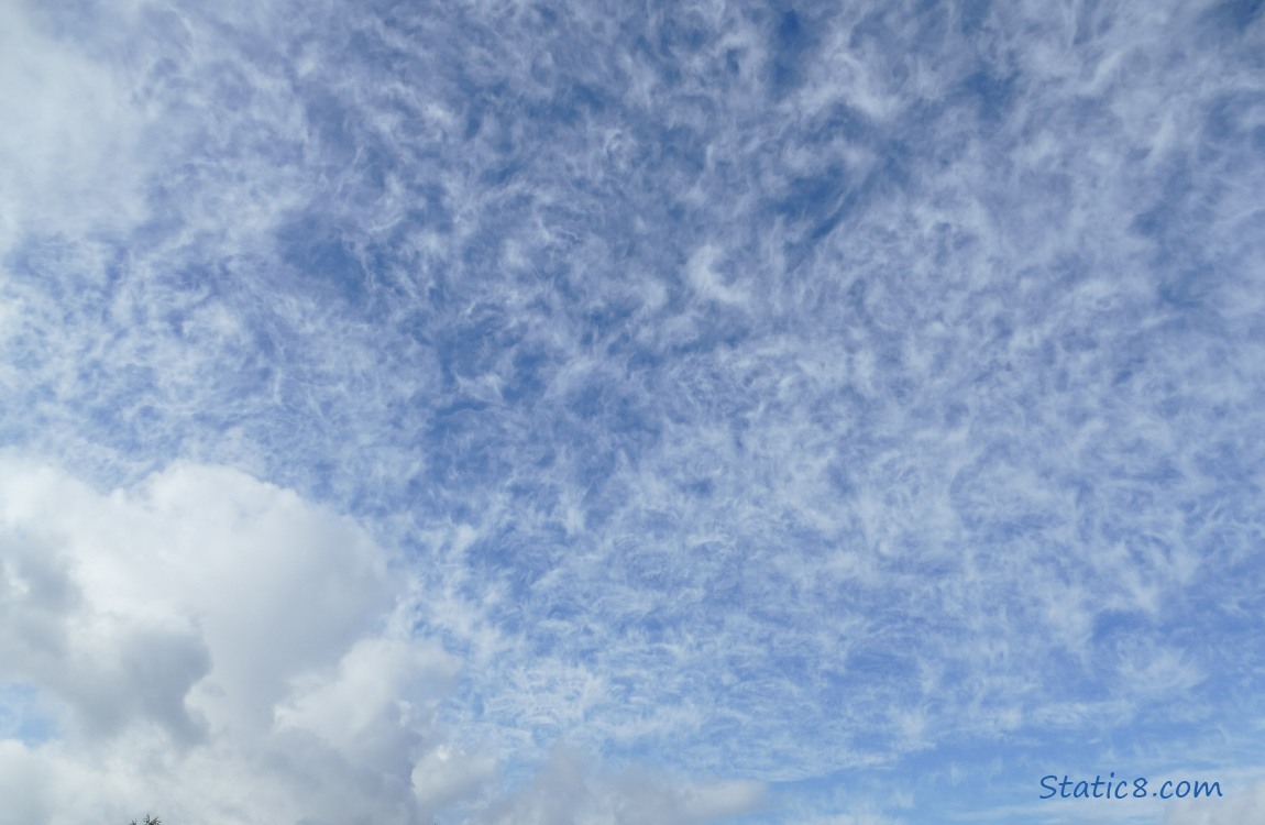 Clouds in a blue sky