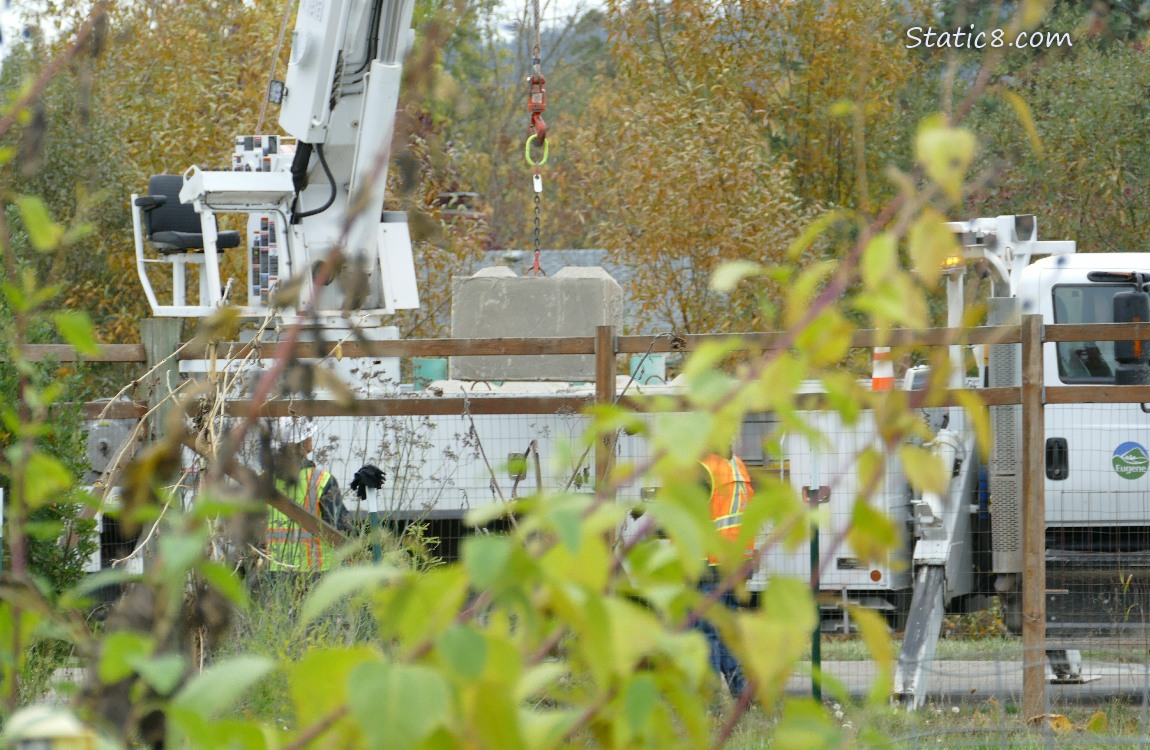 Work truck outside the garden