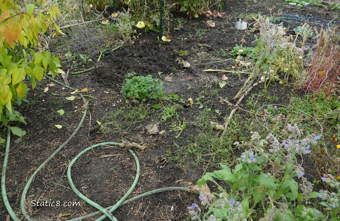 Garden plot