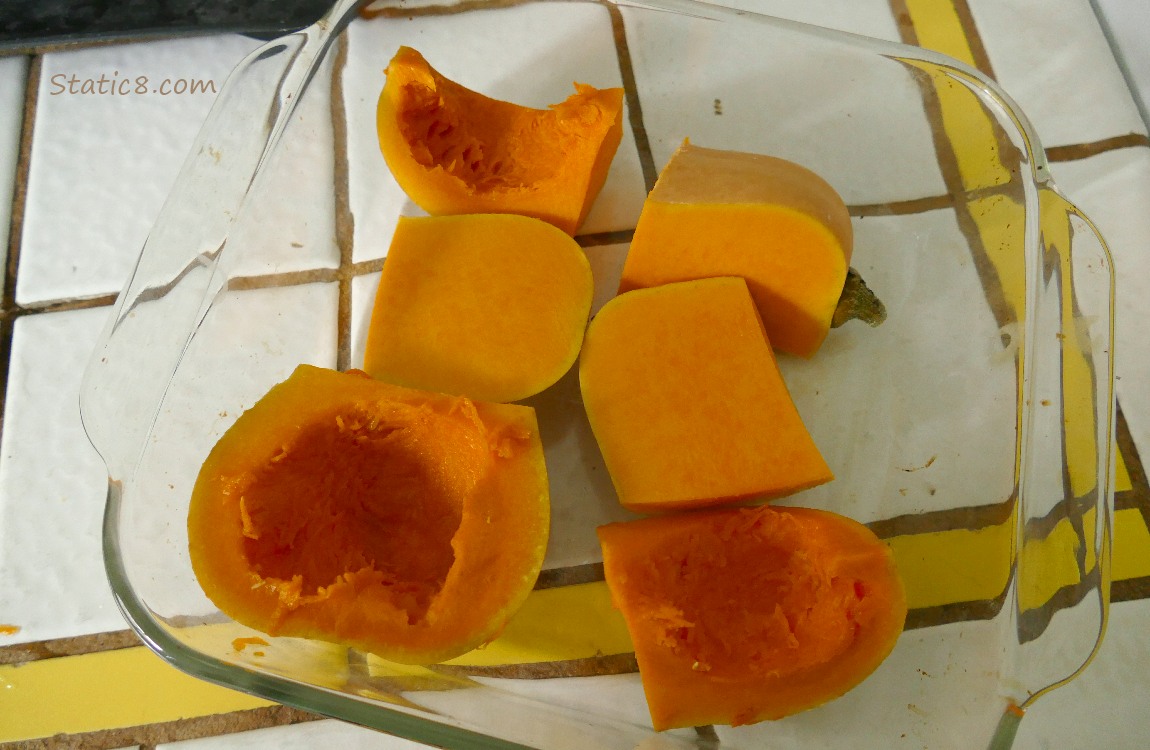 Cut up Butternut squash in a glass pan