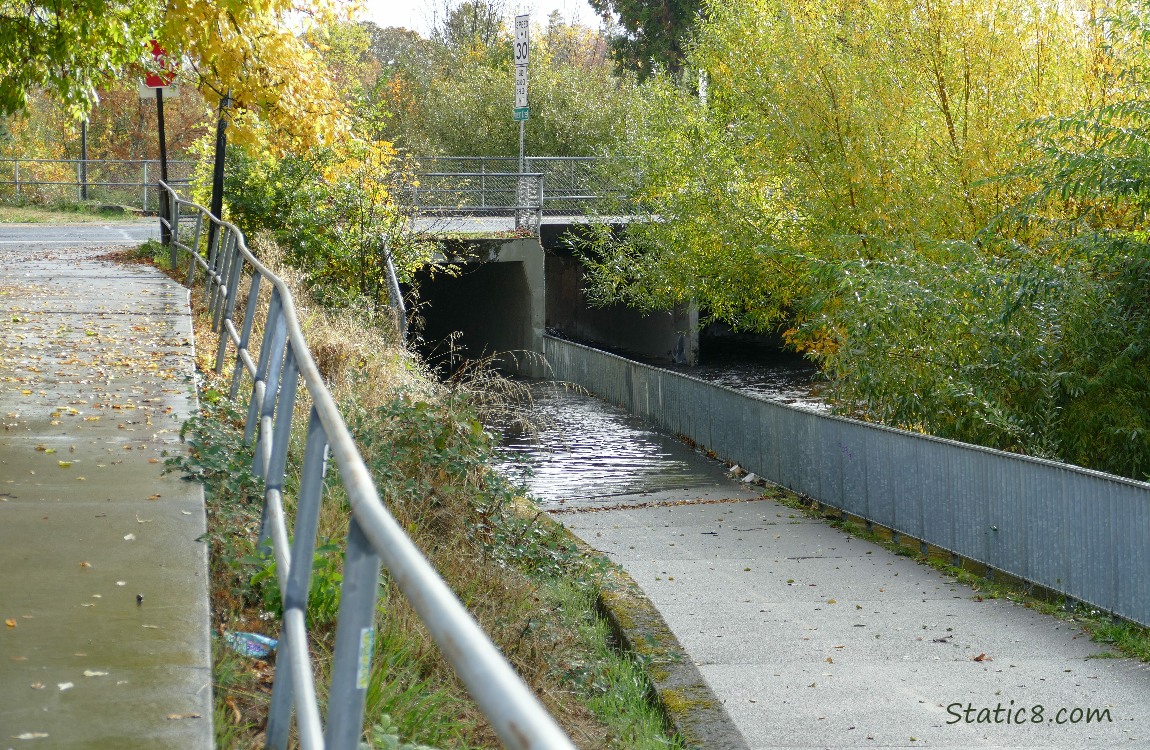 Flooded bike path