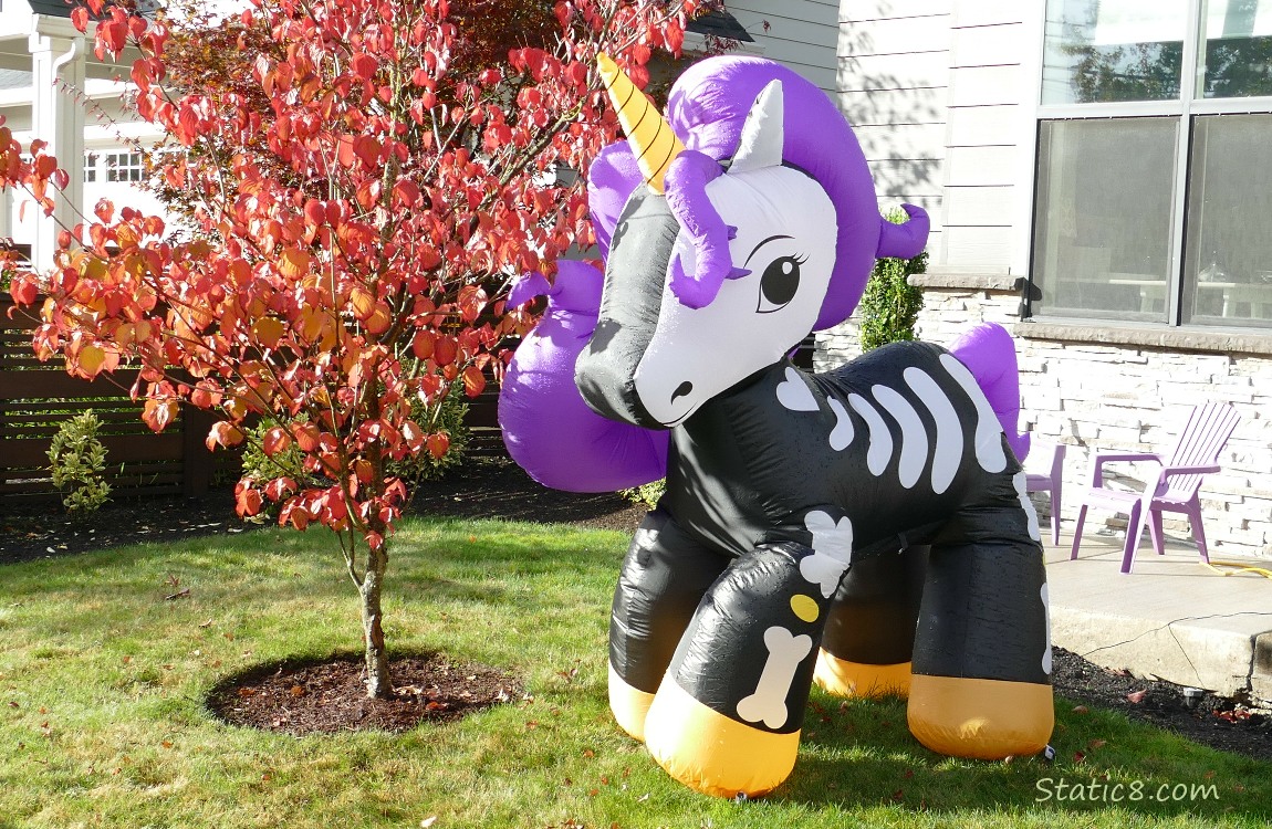 Blow up Halloween unicorn skeleton