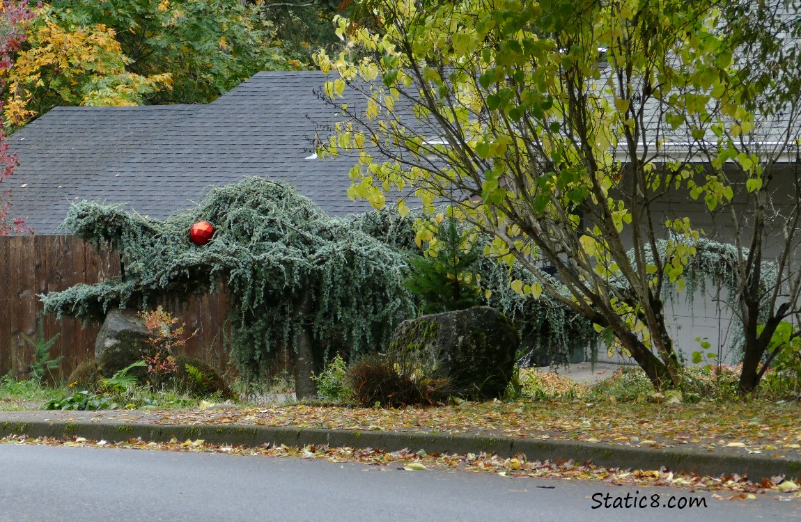 Topiary dragon with a shiny red ball for his eye