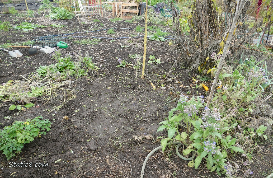 Garden plot