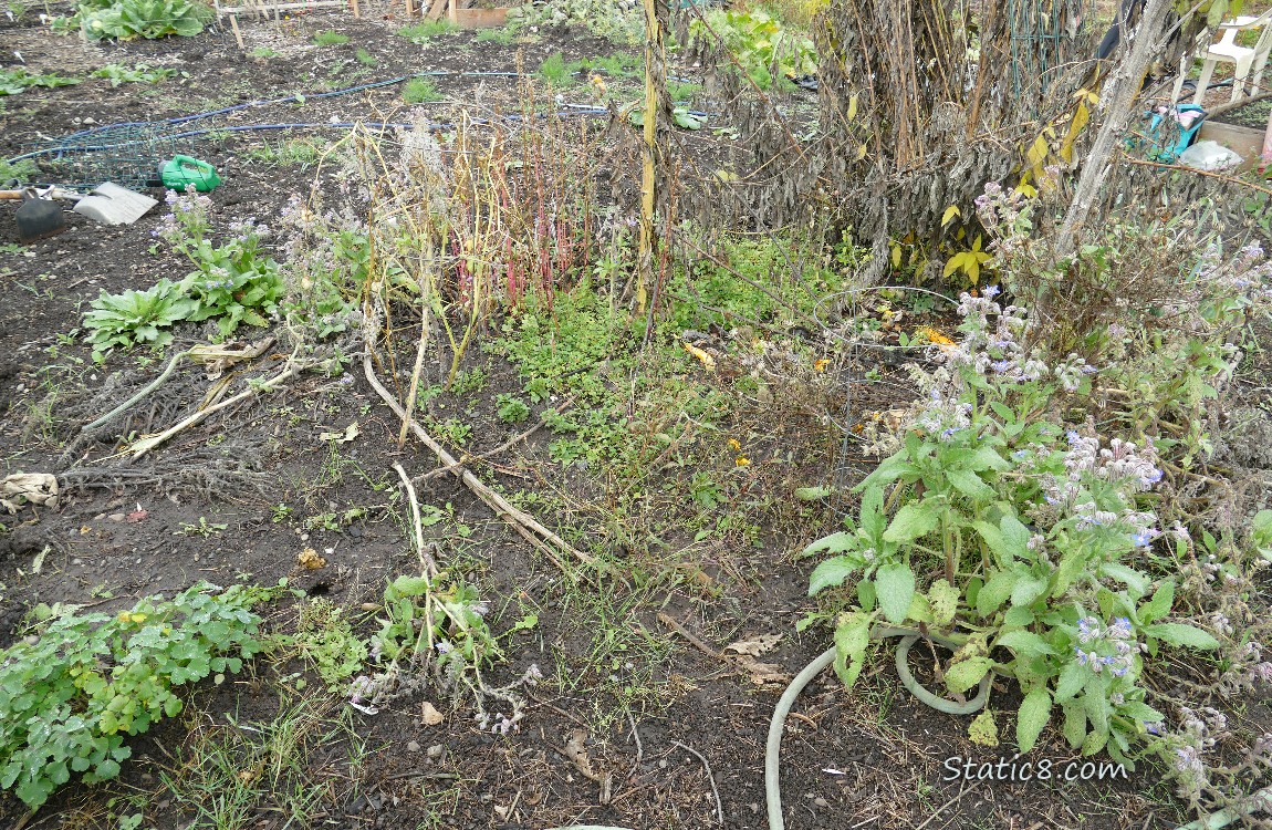 Garden plot