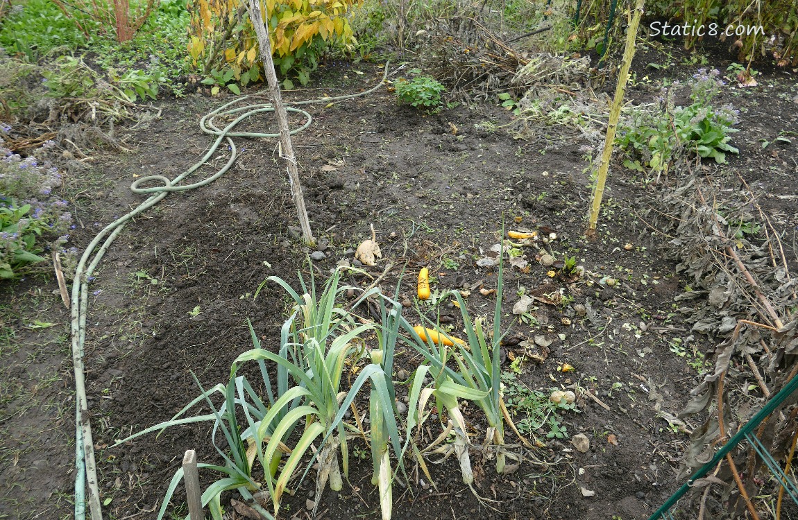 Garden plot