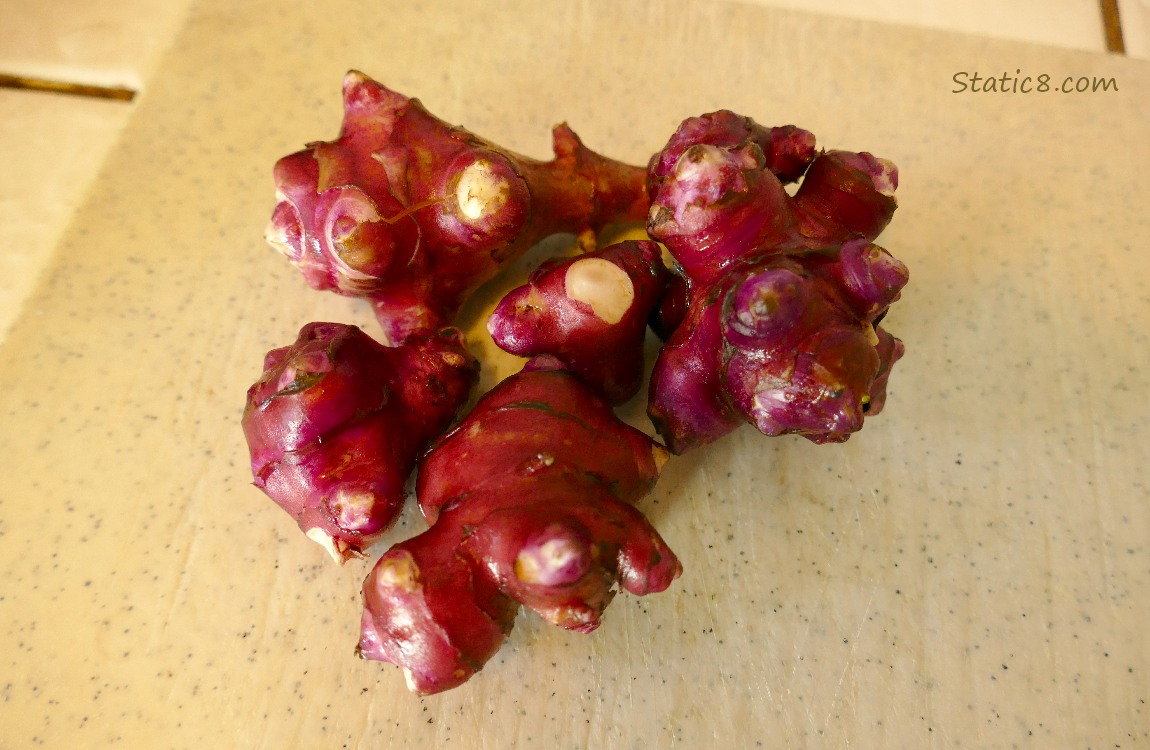 Washed Sunchoke roots on a cutting board