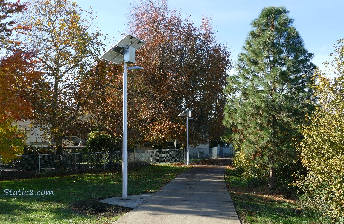 Bike path with lights over it